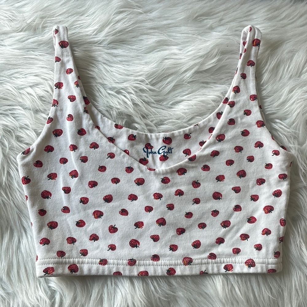 John Galt/Brandy Melville top